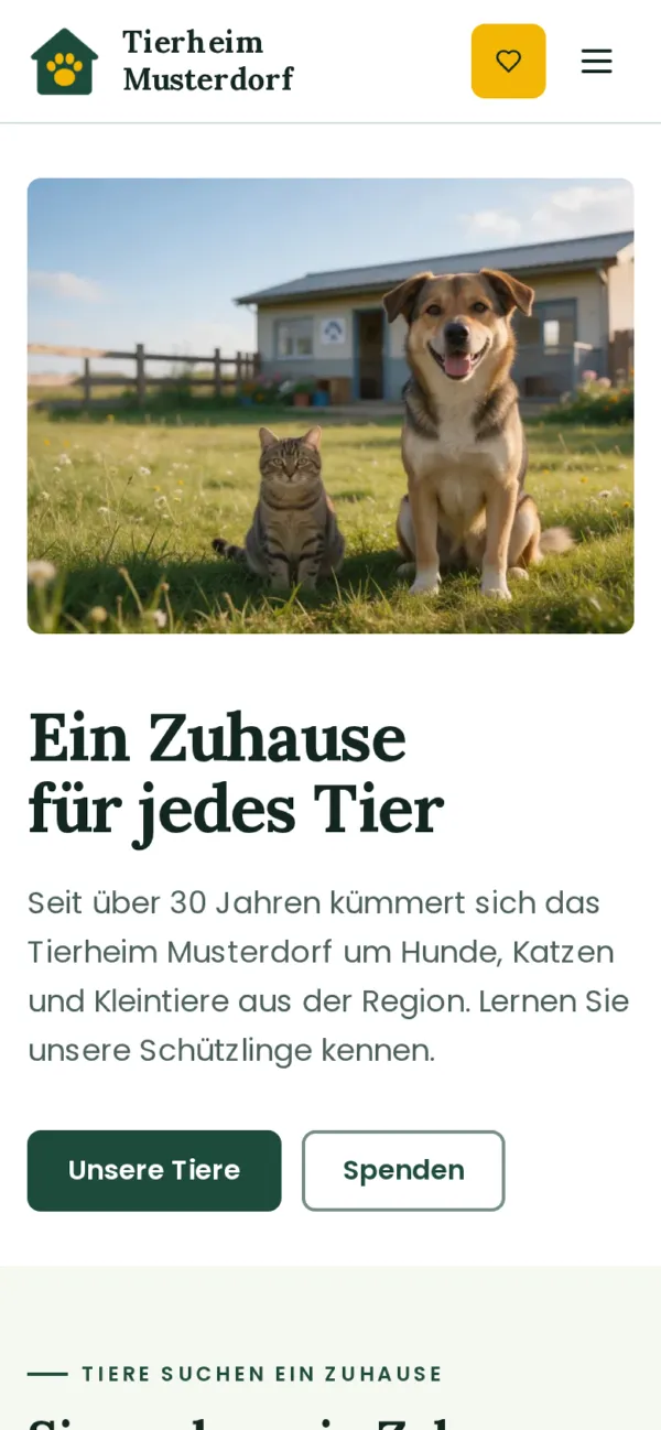 Startseite im Stil „Klar“