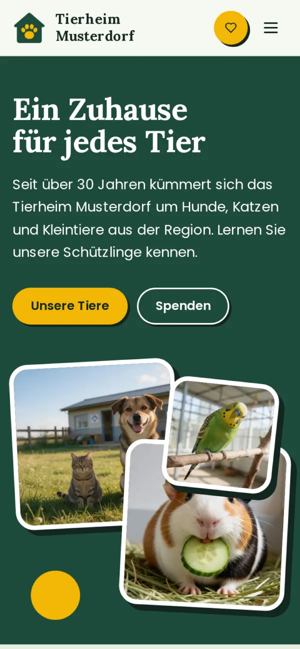 Startseite im Stil „Lebendig“