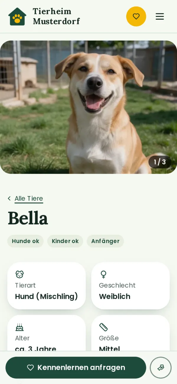 Steckbrief eines Hundes mit Fotos und Fakten